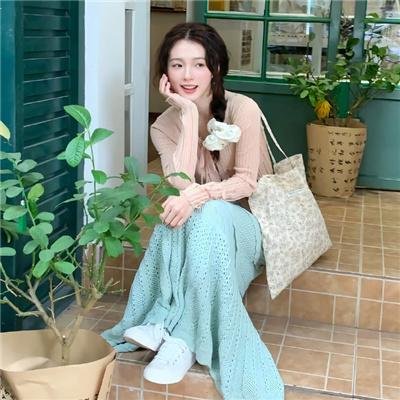 捕狼行动封面